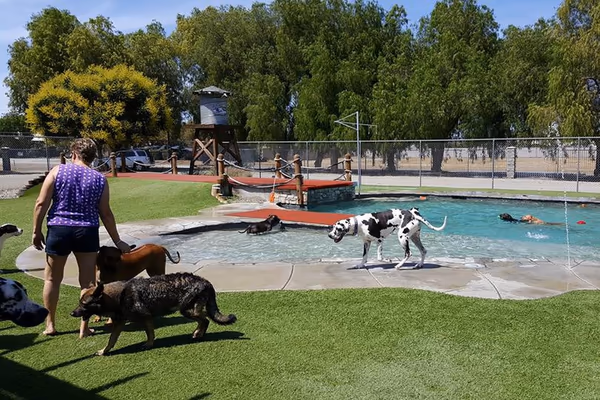 Country Kennels Dawg Water Park photo 1